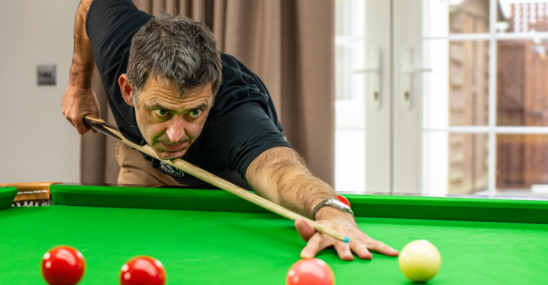 動植物的特 動植物的特