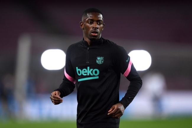 一个鲜活的 一个鲜活的